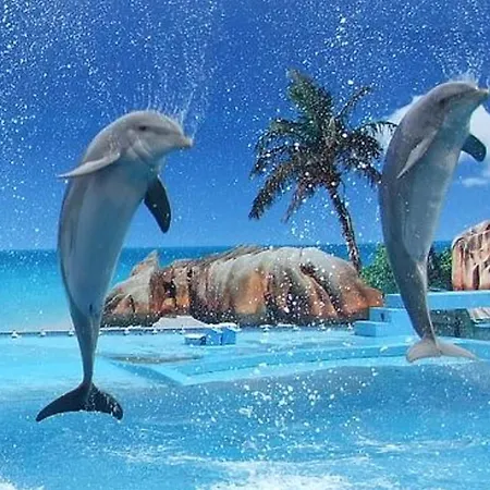 Appartement With 2 Bedrooms B